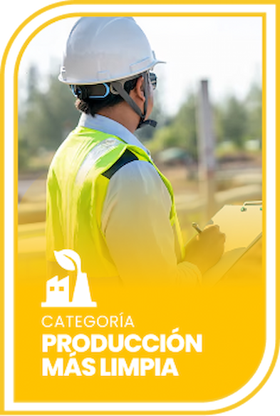 Producción Más Limpia
