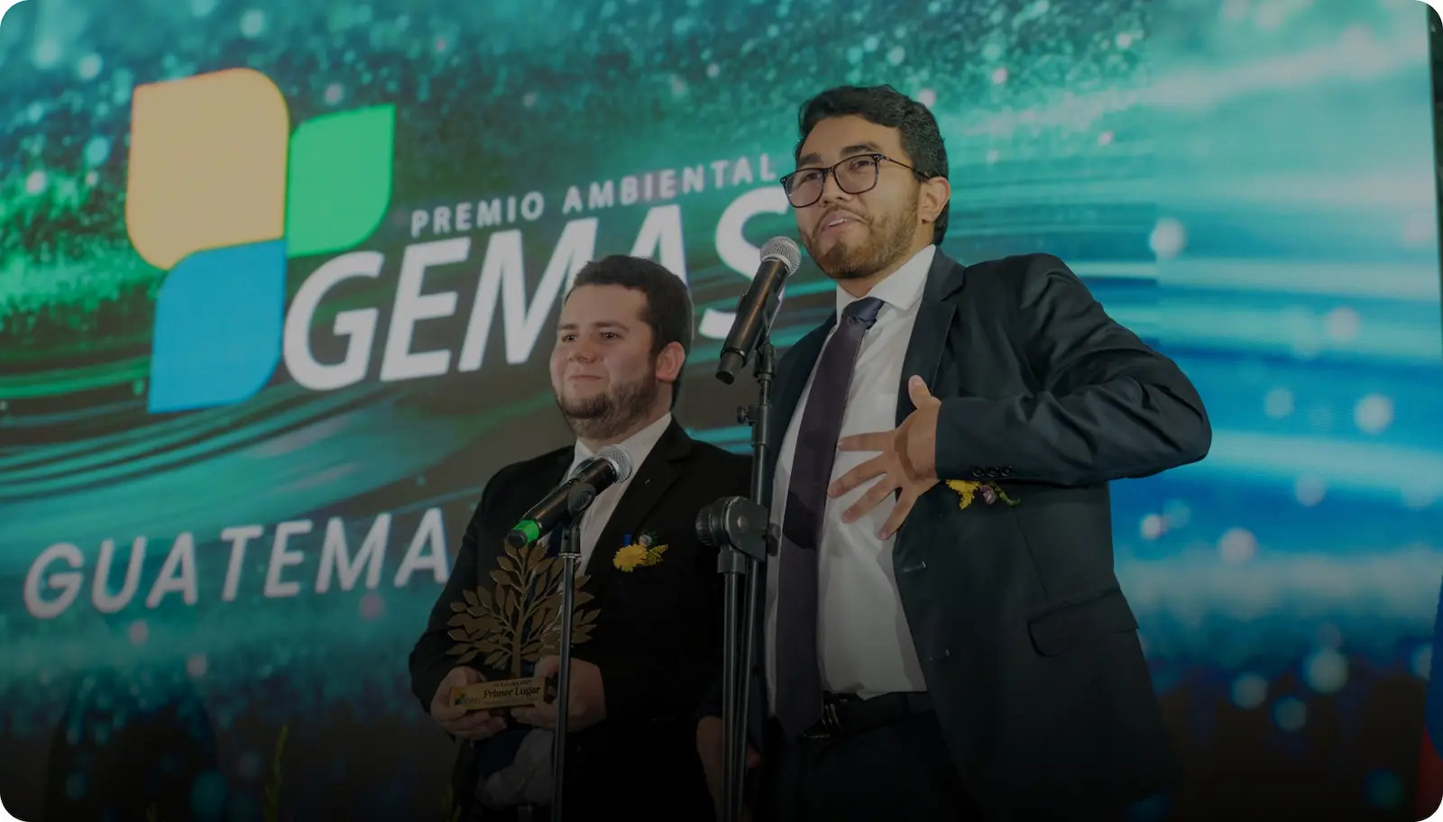 Ganadores 2025